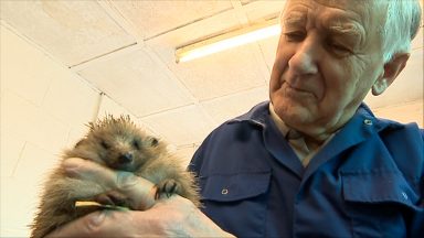 Pensioner who spent two decades rescuing hedgehogs retires