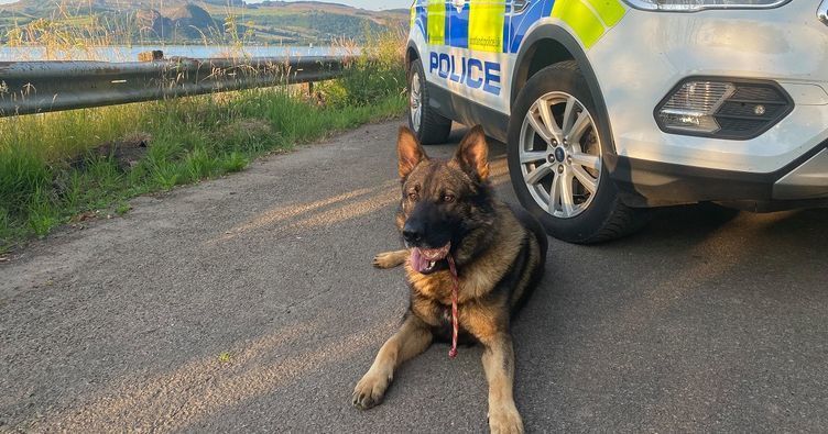 Police dog tracks suspect, sniffs out shed thief – on first shift