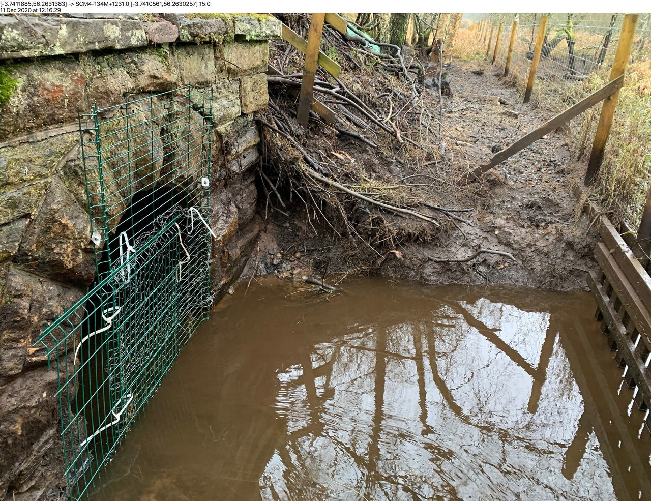 The Perthshire Beaver tunnel in daylight.