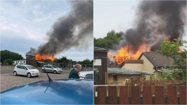 Visitors forced to evacuate after fire breaks out at zoo