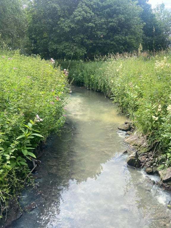 The Bothlin Burn has been contaminated with a grey, fatty looking substance.