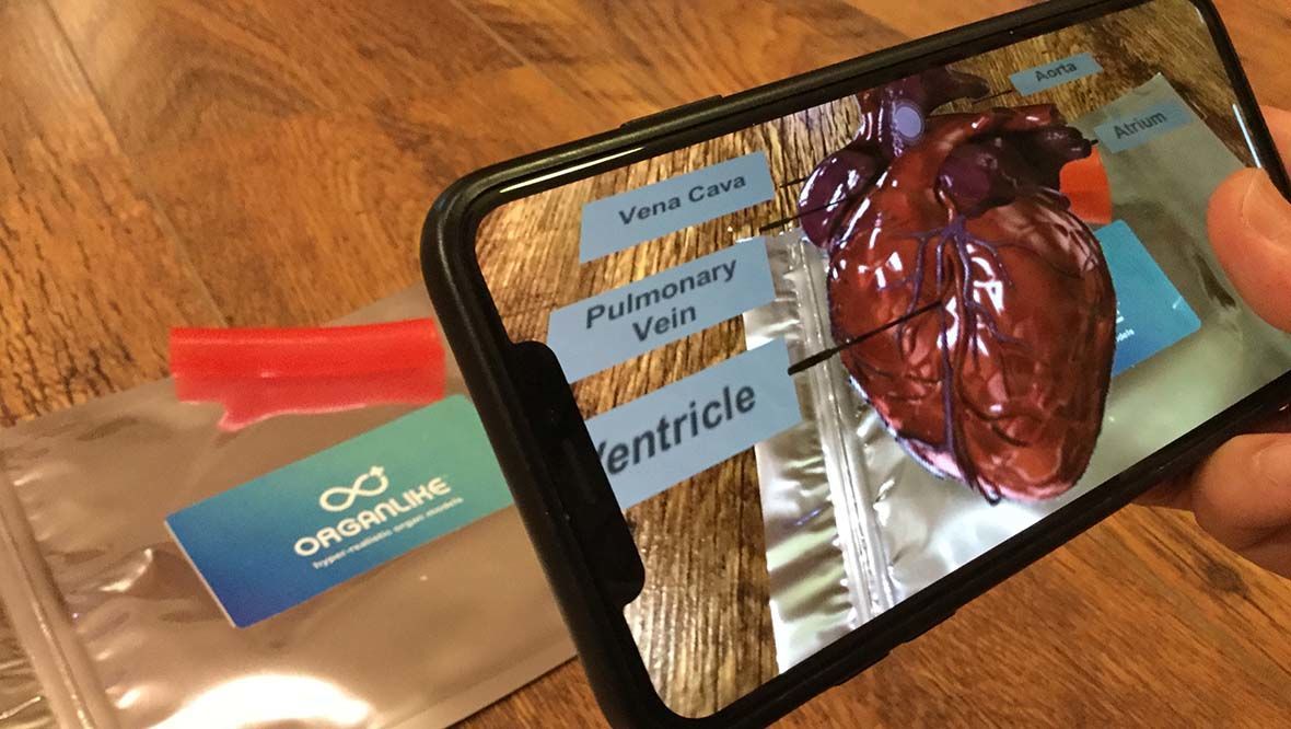 Virtual reality used to train surgeons on 3D printed organs