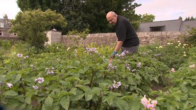 Residents brighten up Aberdeen with community gardens