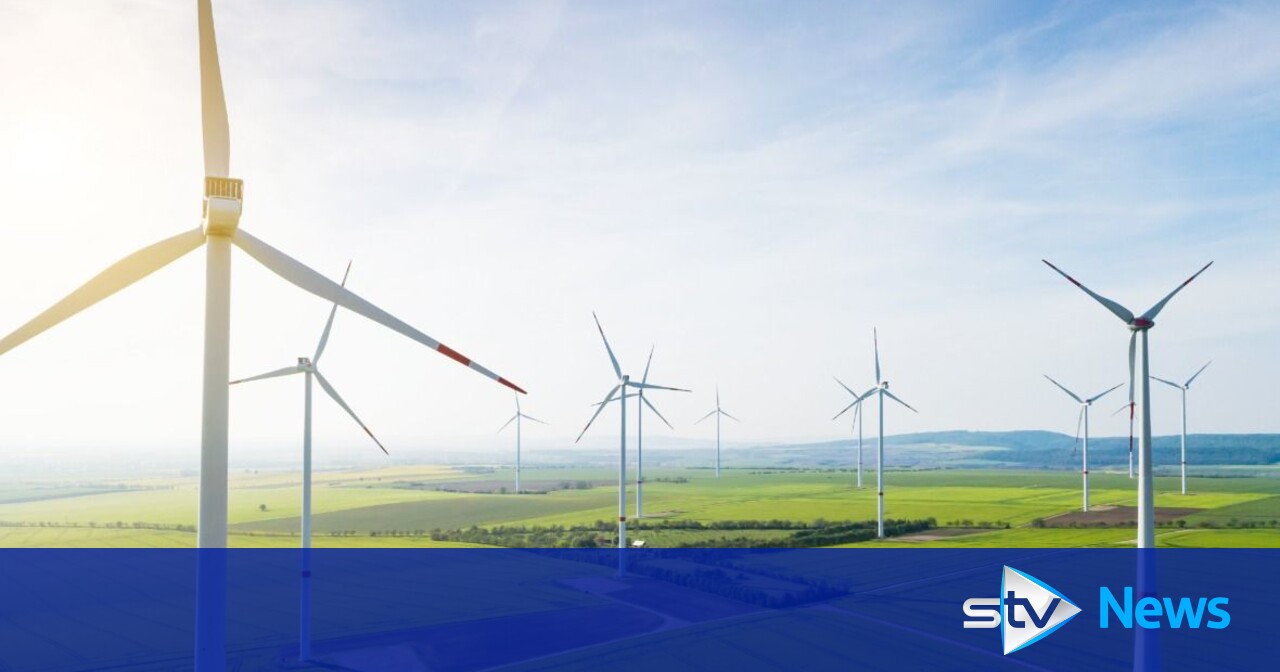 Alex ColeHamilton says renewable energy could cut