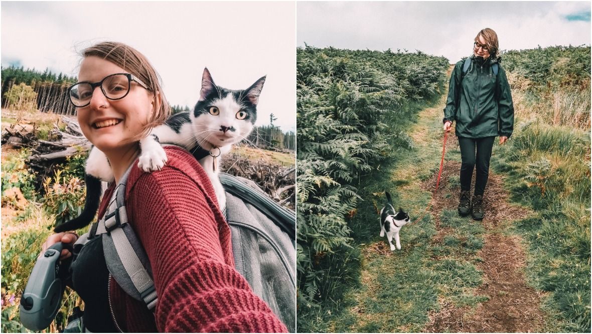 Meet Munro the cat who enjoys hiking up mountains