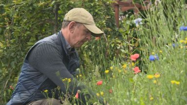 Grounded force: Ex-airman’s garden mission to help veterans