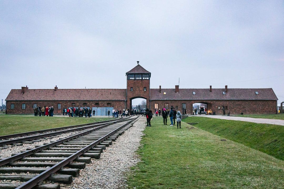 Auschwitz survivor’s legacy to fund research at university