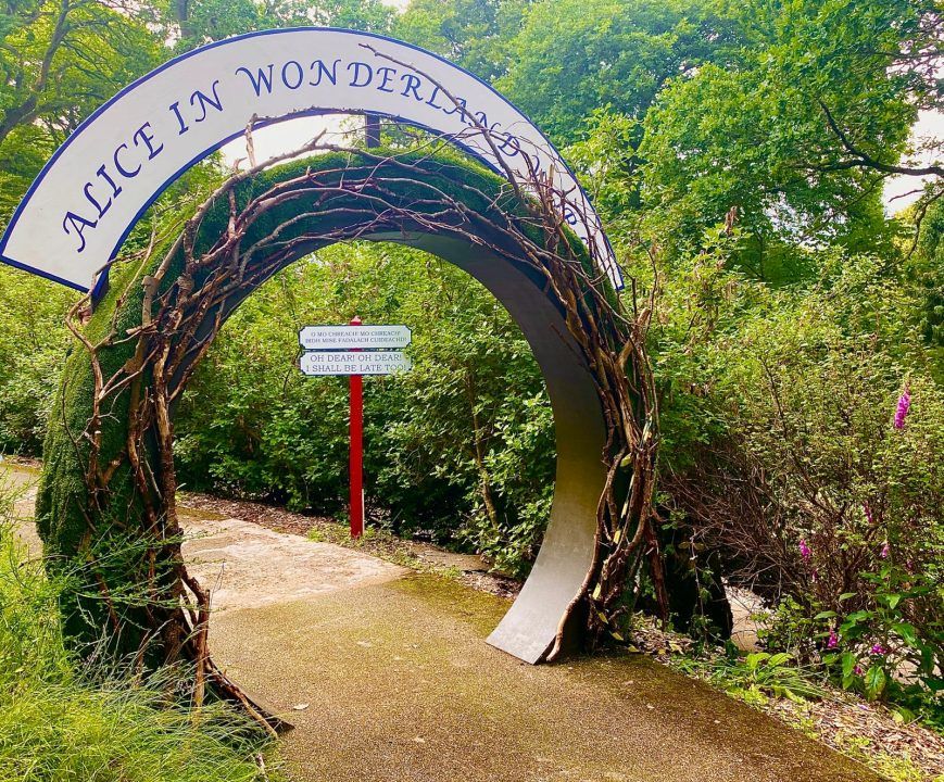 Alice in Wonderland brought to life in  interactive trail