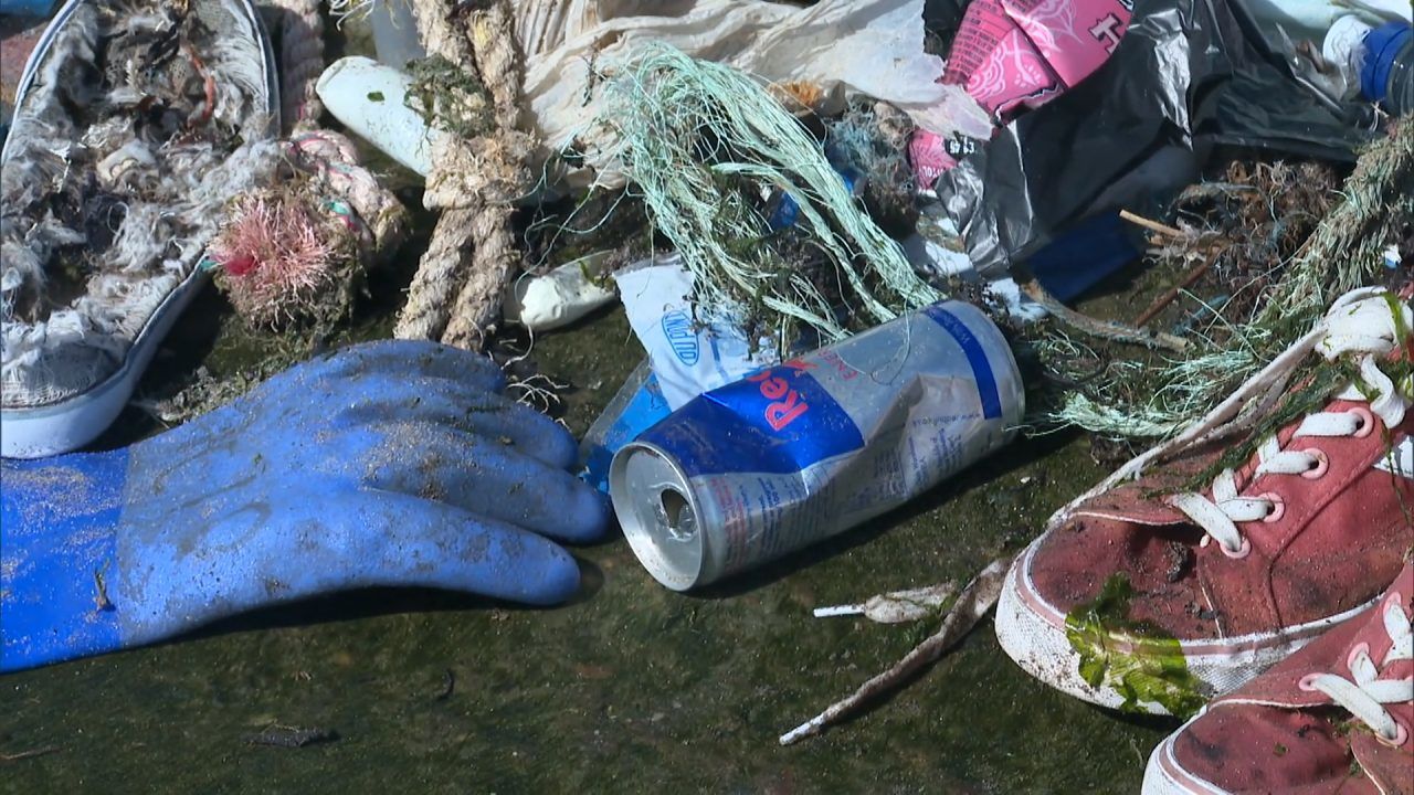 Call to clean up beaches amid tide of waste on Scottish coast