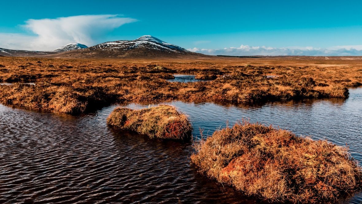 Satellite technology used to monitor how bogs ‘breathe’