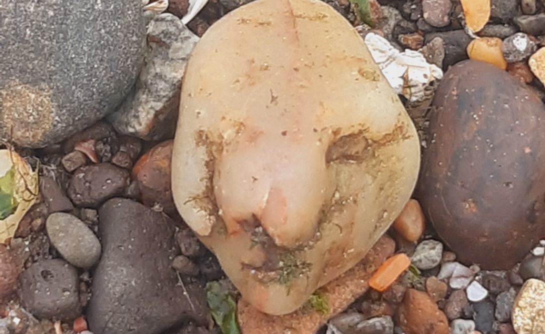Bouldermort: Mum spots stone shaped like Harry Potter villain