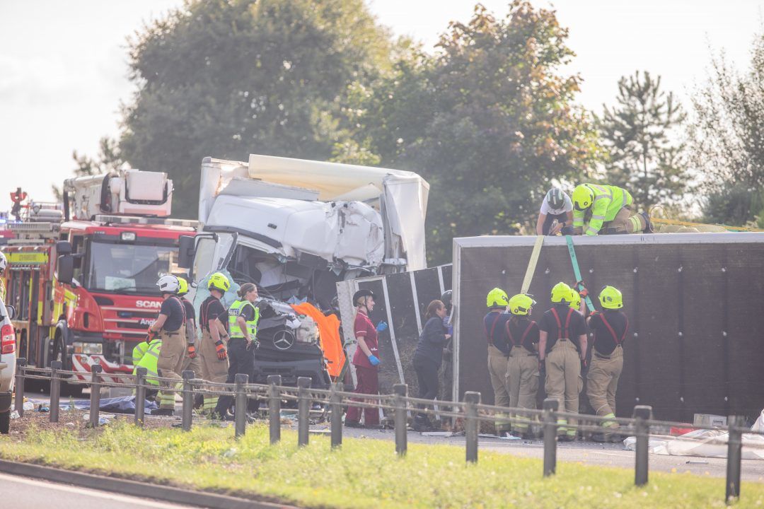 Four horses dead and two men in hospital after lorry crash
