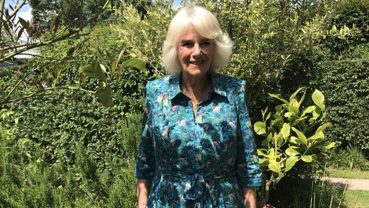Camilla says vegetable patch was invaded by rodents