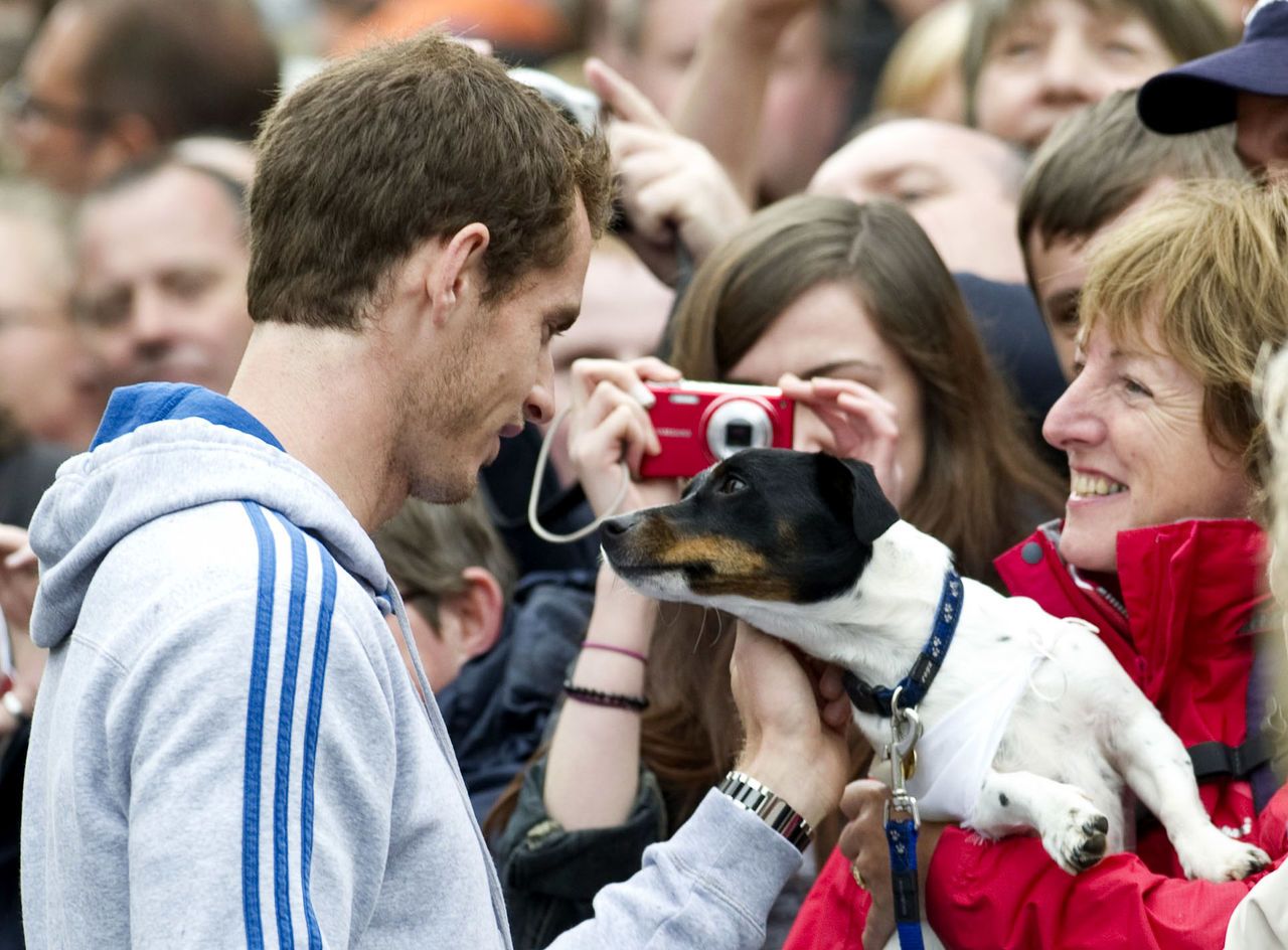 Even the local dogs wanted to welcome Murray home.