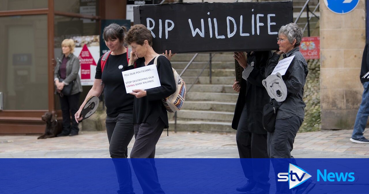 Extinction Rebellion activists hold 'wildlife funeral procession' STV