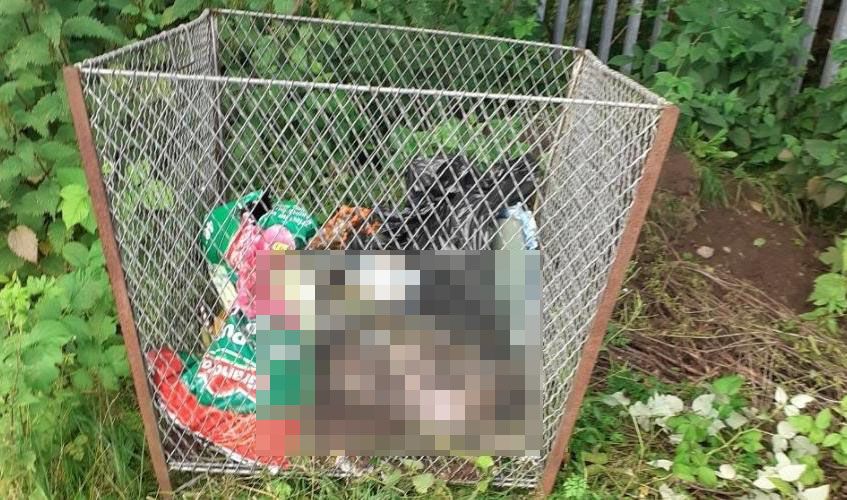 Probe after dog’s body found dumped in cemetery bin