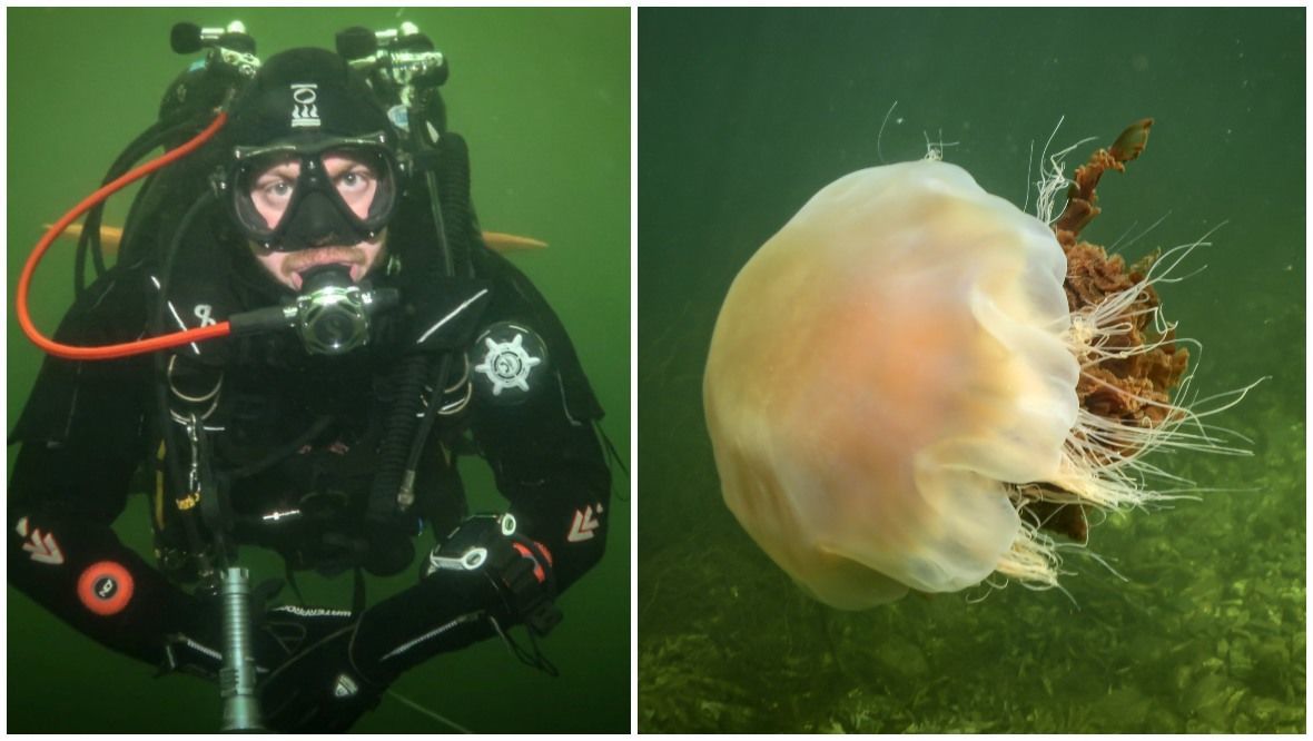Scuba diver unveils ‘whole new world’ under the sea