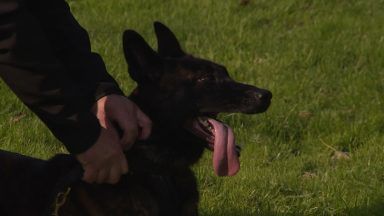 Hundreds of police dogs in training ahead of COP26 climate summit