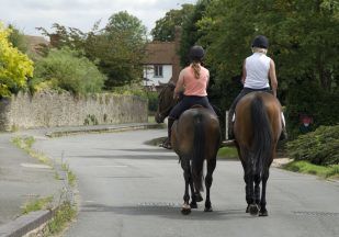 ‘Pass wide and slow’: Horses put at risk from drivers