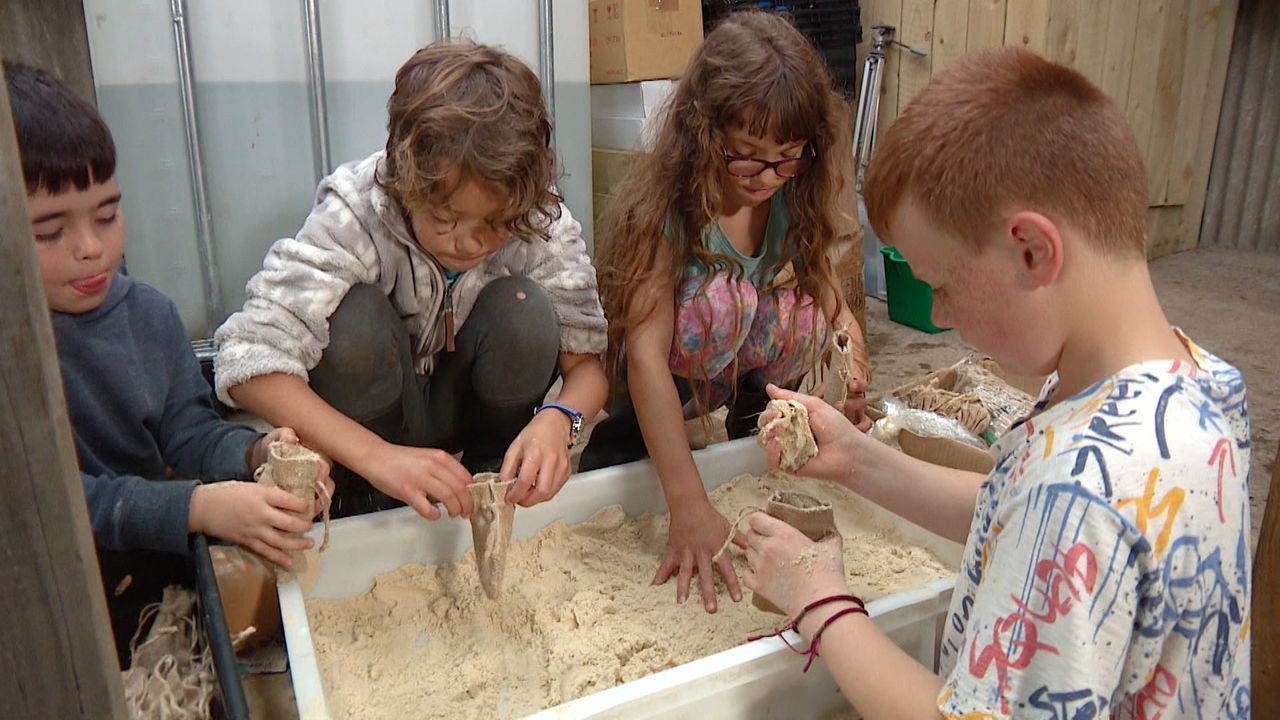 Children are helping with sea-wilding projects.