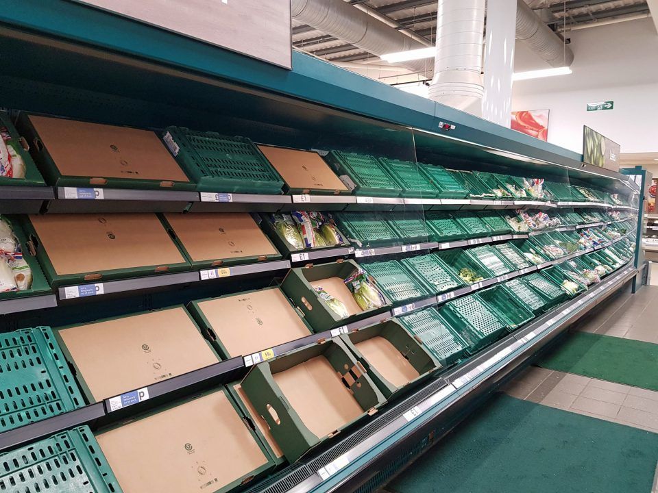 Food shortages will worsen over Christmas, industry groups warn