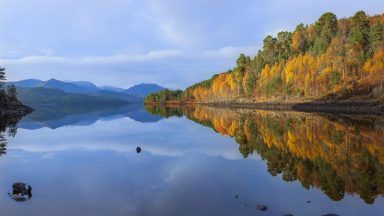 Rewilding project for half-a-million acres of Highlands launched