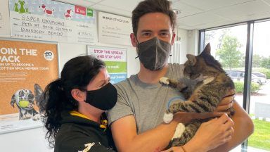 Owners reunited with cat which went missing ten years ago