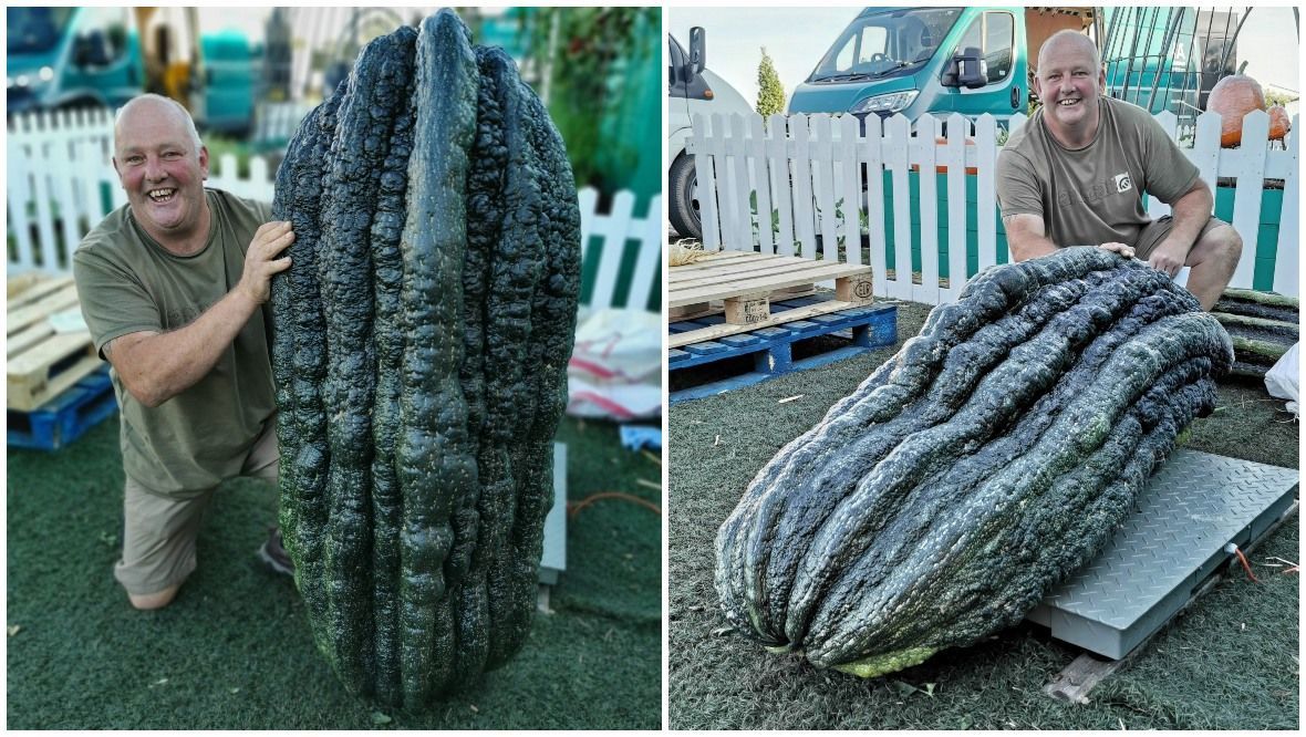 Gardener smashes record by growing world’s largest marrow