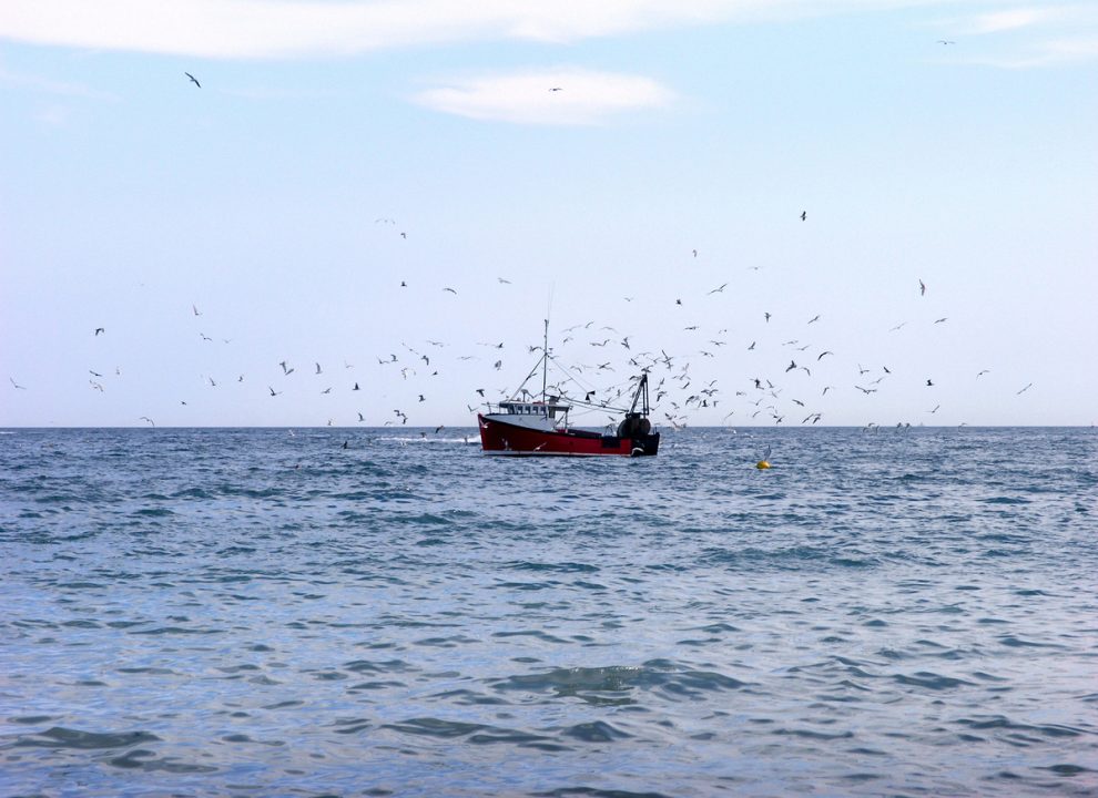 Boat tracking will only partly address illegal fishing practices, ministers told