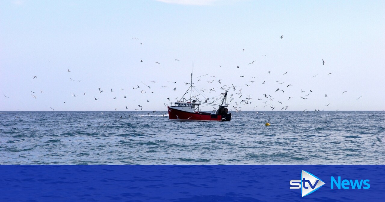 Scampi fishing in North Sea driving ‘invisible’ climate cost, scientists say