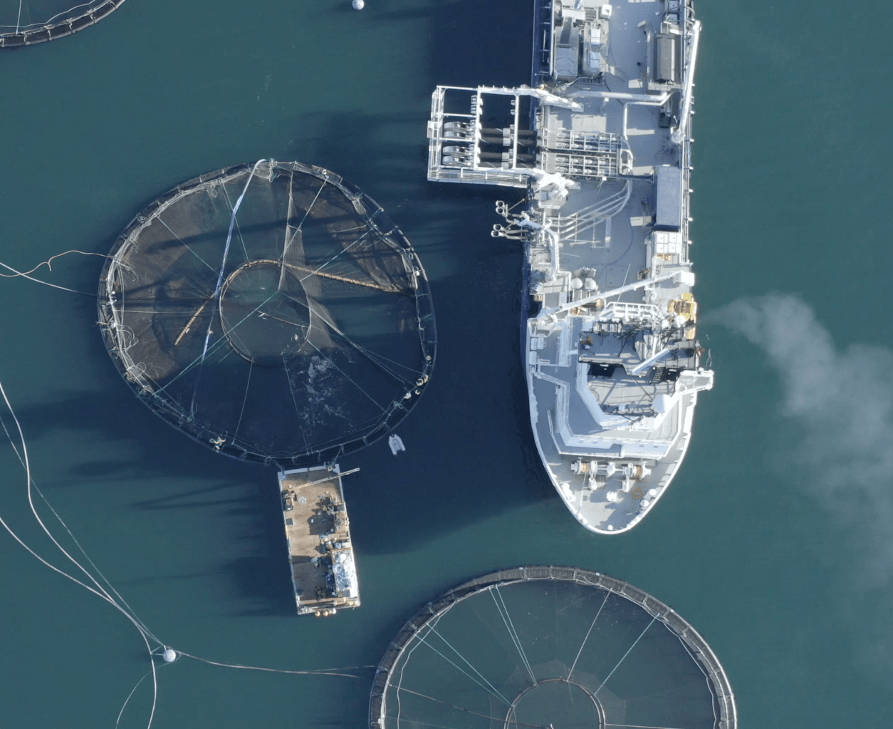 The pens of the Scottish Salmon Company farm off the Isle of Gigha.