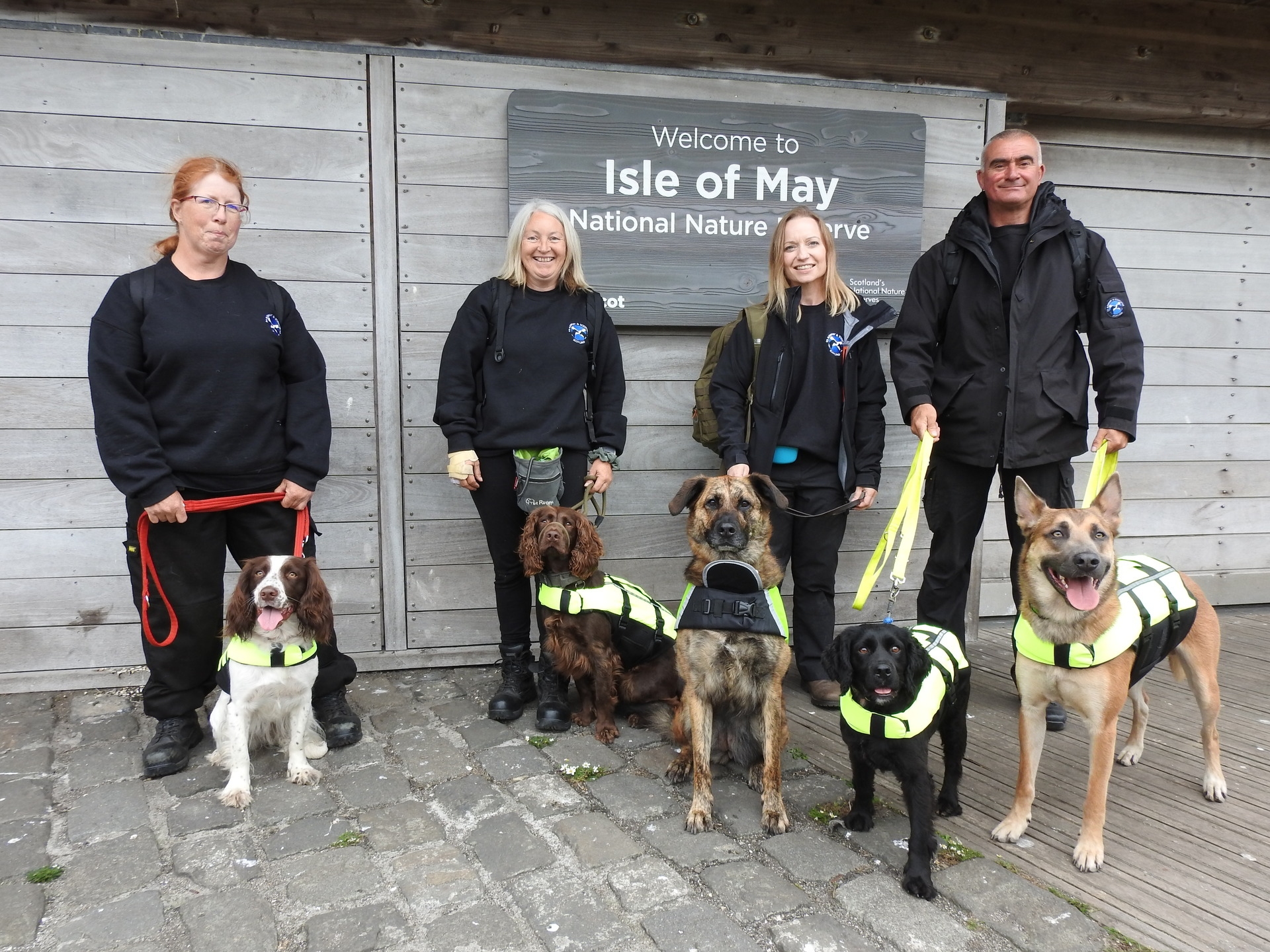 K9 staff with sniffer dogs, from left to right - Lyn with Pyper, Lorriane with Nelson, Lucy with Esmay, and Simon with Molly and Storm. 