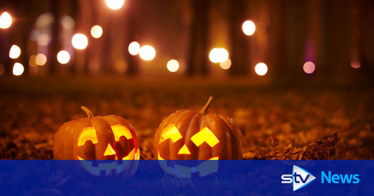 Scots urged not to dump pumpkins in woodlands to protect hedgehogs