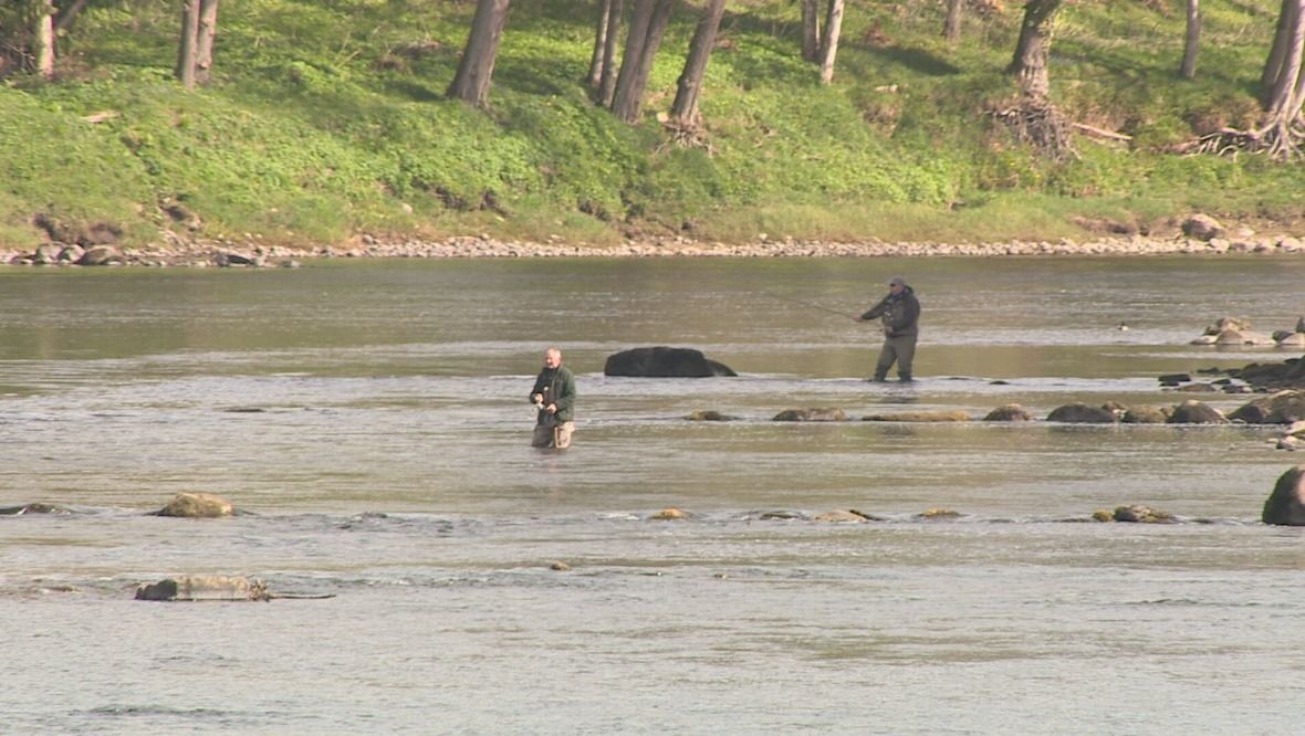 River Tay salmon season celebrated as anglers catch plenty of whoppers