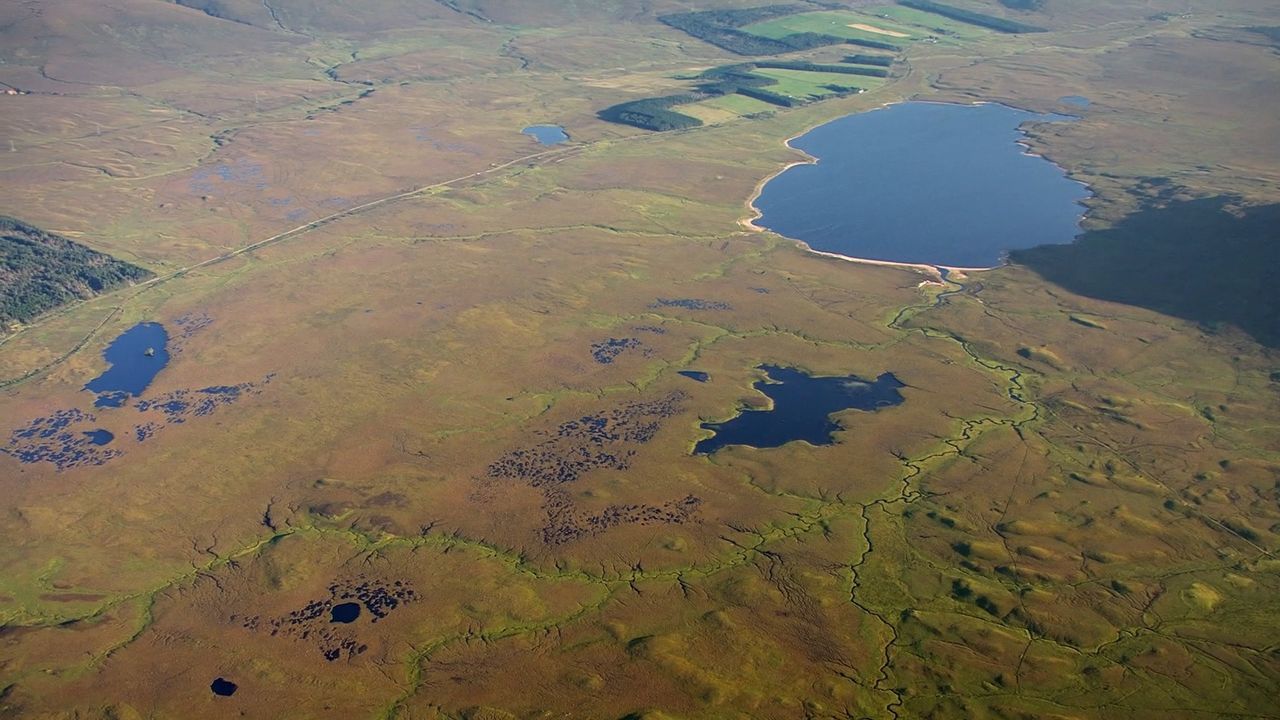  The Scottish Government has pledged to spend £250m restoring peatlands over the next ten years.