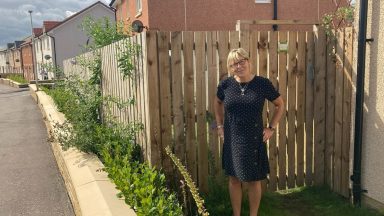 Fence reprieve for homeowner who was ‘unfamiliar’ with planning system