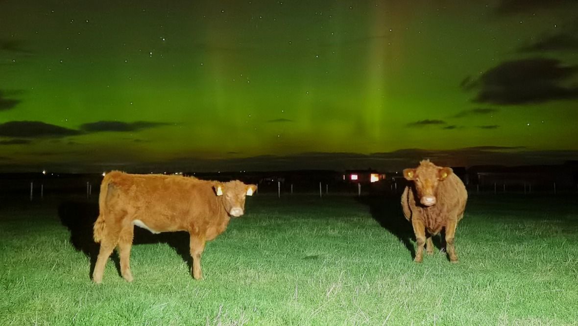 Photographers capture stunning images of Northern Lights over Scotland
