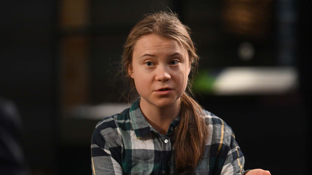 Greta Thunberg: ‘Sometimes you need to anger people in protests’