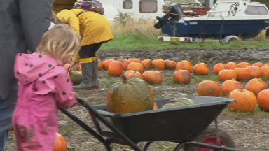 Pumpkin supply fears due to ‘high demand and poor weather conditions’
