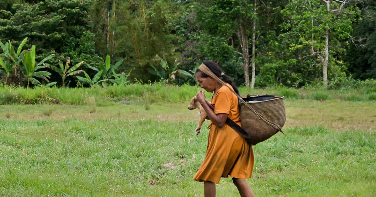 Asociación Ambiente y Sociedad a Colombian NGO that supports environmental democracy, working with indigenous peoples, afro and rural communities as well as women and youth.