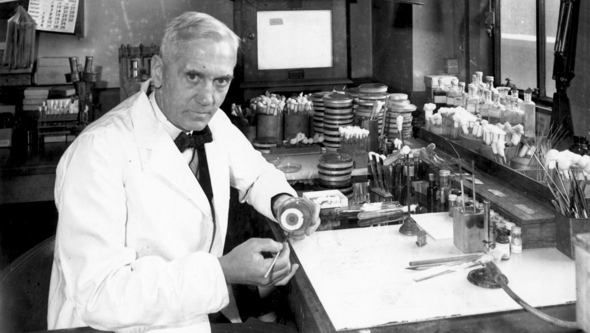 Scottish bacteriologist Sir Alexander Fleming (1881 - 1955) in his laboratory at St Mary's Hospital in Paddington, London, 2nd October 1943. (Photo by Davies/Keystone/Hulton Archive/Getty Images)
