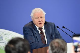 David Attenborough ‘regrets’ not focusing on British wildlife programmes