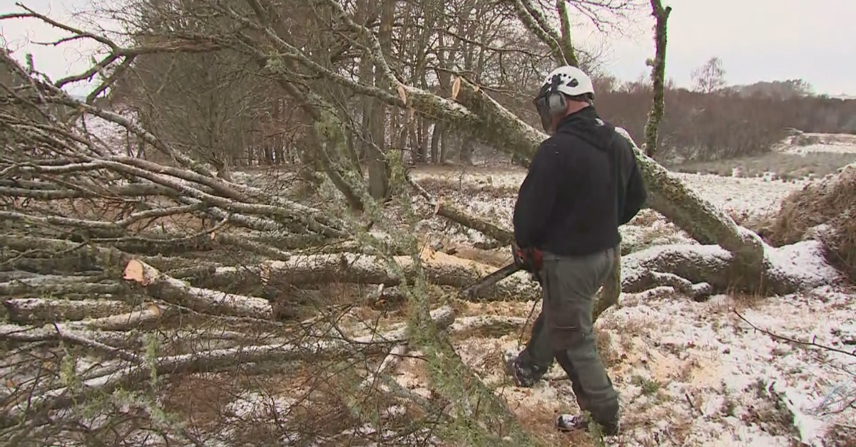 Thousands across UK facing eighth day without power following Storm Arwen