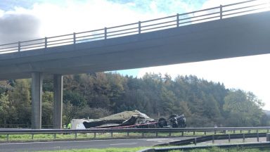 Driver dies after lorry careers into barrier and plunges off bridge