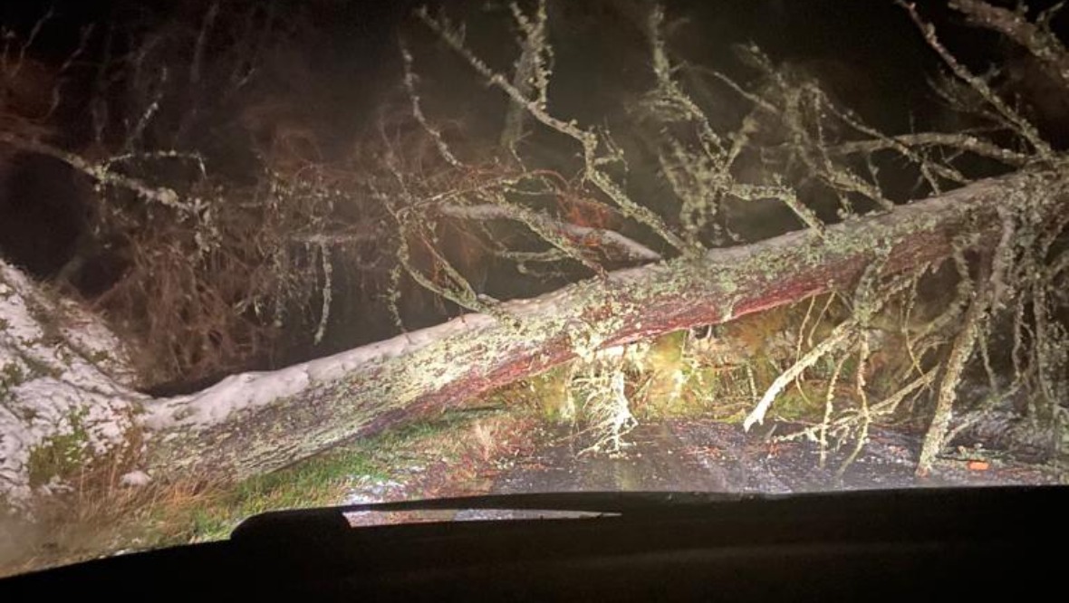 Fallen tree on the A9