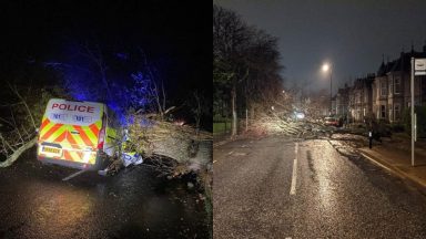 Tens of thousands of homes remain without power in wake of Storm Arwen