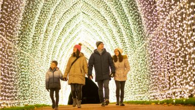 Christmas at the Botanics returns with dazzling new spectacle