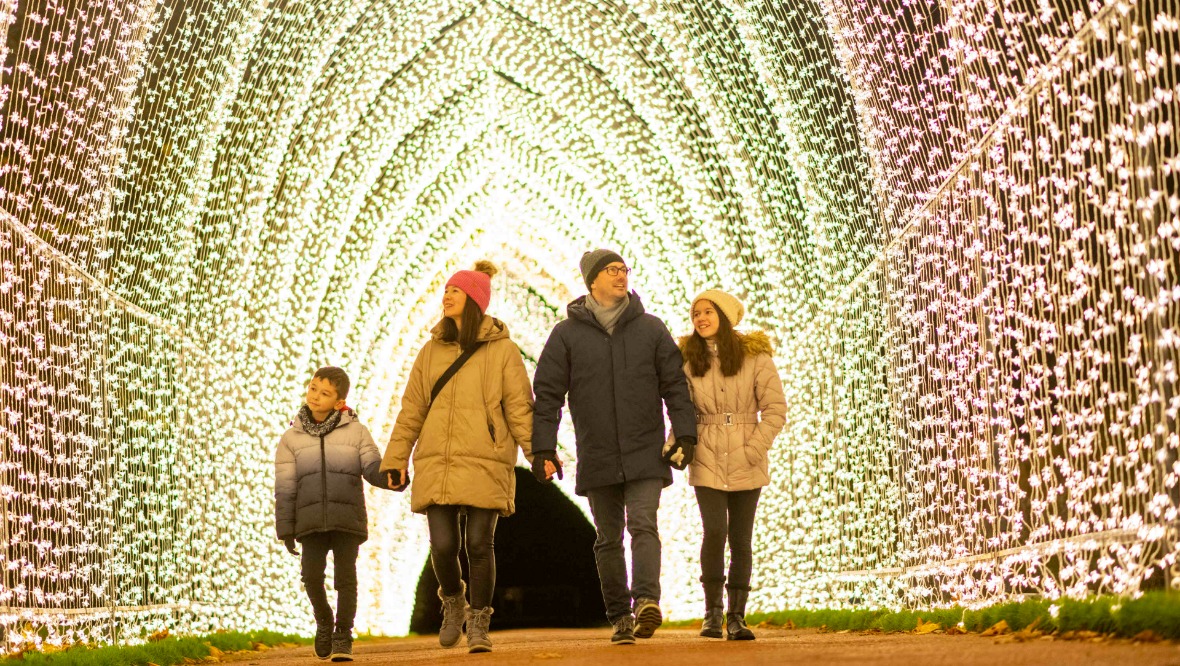 Christmas at the Botanics.