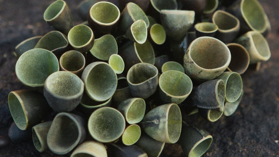 Ms Turner makes jewellery out of seaweed which she forages herself in Scotland (Iona Turner/PA)