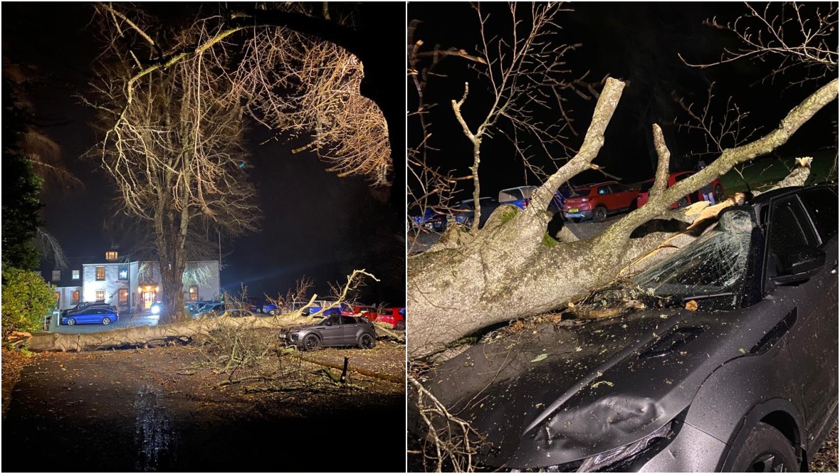 Cars crushed by trees in Banchory, Aberdeenshire